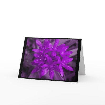 Glory Of The Snow Purple Greeting Card by Fallen_Angel_483