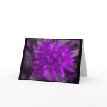 Glory Of The Snow Purple Greeting Card