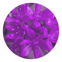 Glory Of The Snow Purple Sticker