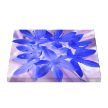 Glory of the Snow Shocking Blue Canvas Print