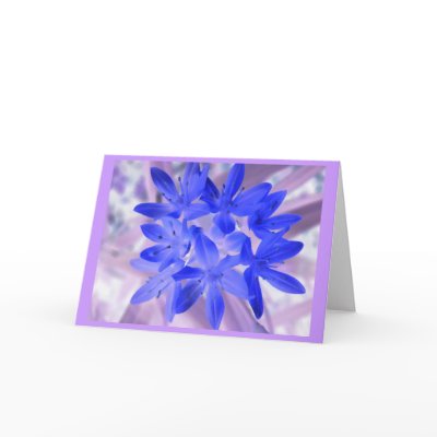 Glory Of The Snow Shocking Blue Greeting Card by Fallen_Angel_483
