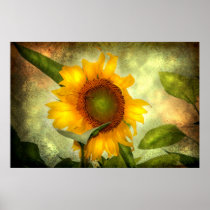 Glory (Sunflower Poster)