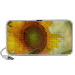 Glory (Sunflower Speaker)