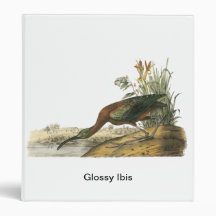 Glossy Ibis, John Audubon Binder