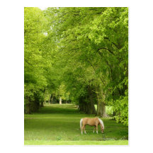 Gloucestershire, UK Post Cards