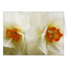 Glow Greeting Cards