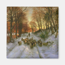 Glowed with Tints of Evening Hours Magnets