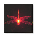 Glowing Dragonfly Refrigerator Magnets