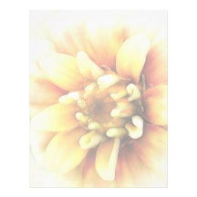 Glowing Golden Zinnia Customized Letterhead