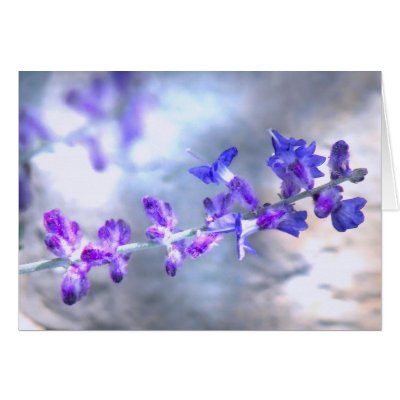 Glowing Purple Flowers Greeting Cards by Bebops
