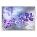 Glowing Purple Flowers cards