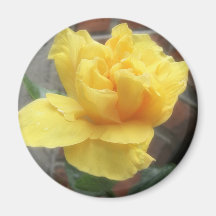 Glowing Yellow Hibiscus 1 Refrigerator Magnet