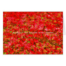 Gm Azaleas Greeting Card