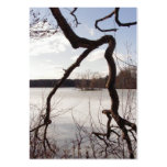 Gnarly branch & island ~ ATC Business Card
