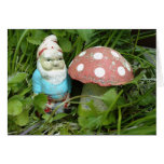 Gnome and Toadstool Cards