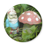 Gnome and Toadstool Magnets