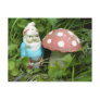 Gnome and Toadstool Post Card