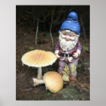 Gnome dans la copie de photo de jardin posters