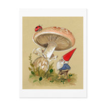 Gnome find a Ladybug and Mushroom