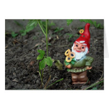 Gnome Get Well Card