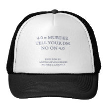 Gnomish Sorcerers Against Change Mesh Hats