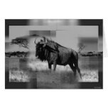 Gnu Card