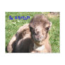 Go Camels! Postcards