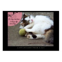 Go Crazy Life Lessons from a Cat ACEO Art Cards