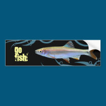 Go Fish! Shiner Minnow bumper stickers