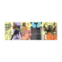 Go Fly II on Canvas Canvas Prints