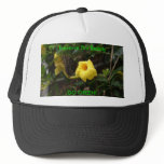 GO GREEN! Butterfly on Yellow Flower Mesh Hat