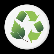 Go Green Environment magnets
