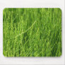 Go Green mousepad