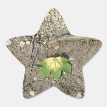 Go Green Reduce Reuse Recycle Star Sticker