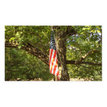 Go Green USA Business Card Templates