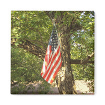 Go Green USA Magnets