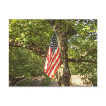 Go Green USA Post Cards