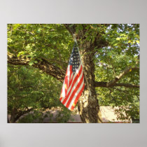 Go Green USA Posters