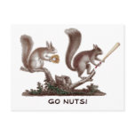 Go Nuts Rally Squirrel Greetings from St. Louis!