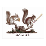Go Nuts Rally Squirrel Greetings from St. Louis! Post Card