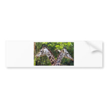 Go Your Way I;ll Go Mine Bumper Stickers