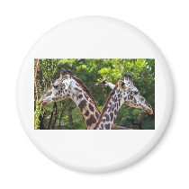 Go Your Way I;ll Go Mine Fridge Magnet
