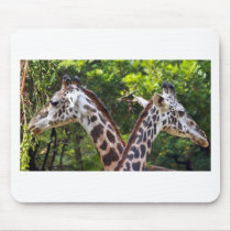 Go Your Way I;ll Go Mine Mouse Pads