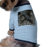 Goanna Kiss Doggie T Shirt