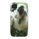 Goat Case For The iPhone 4