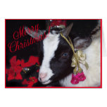 Goat Christmas Card Rufus