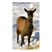Goat farm business card