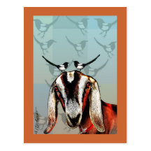 Goat with magpie fine art postcards