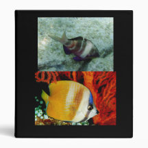 GOATFISH, SUNBURST BUTTERFLY FISH, Bluhead_Wras... 3 Ring Binders