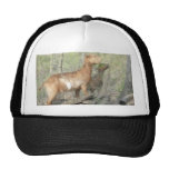 Goats At Work Trucker Hat